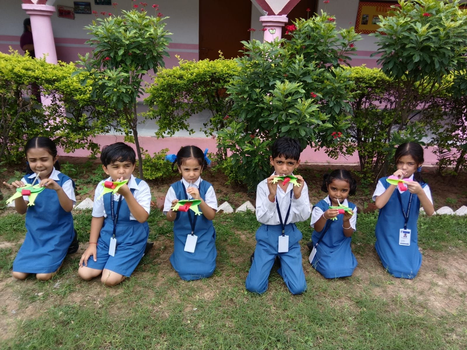 Creating  ladybug & Making toads